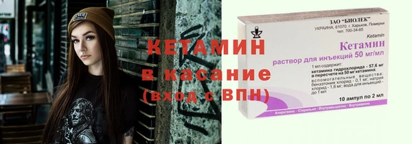 шишки Наволоки