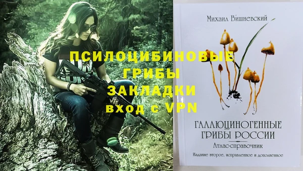 меф Нефтегорск